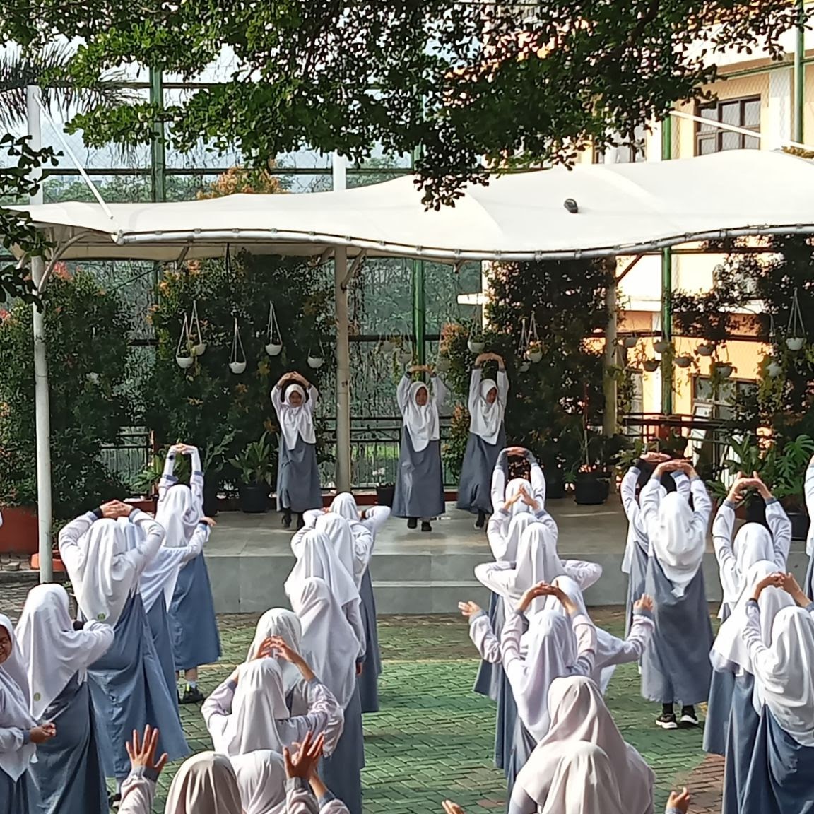 Healthy Student Activity